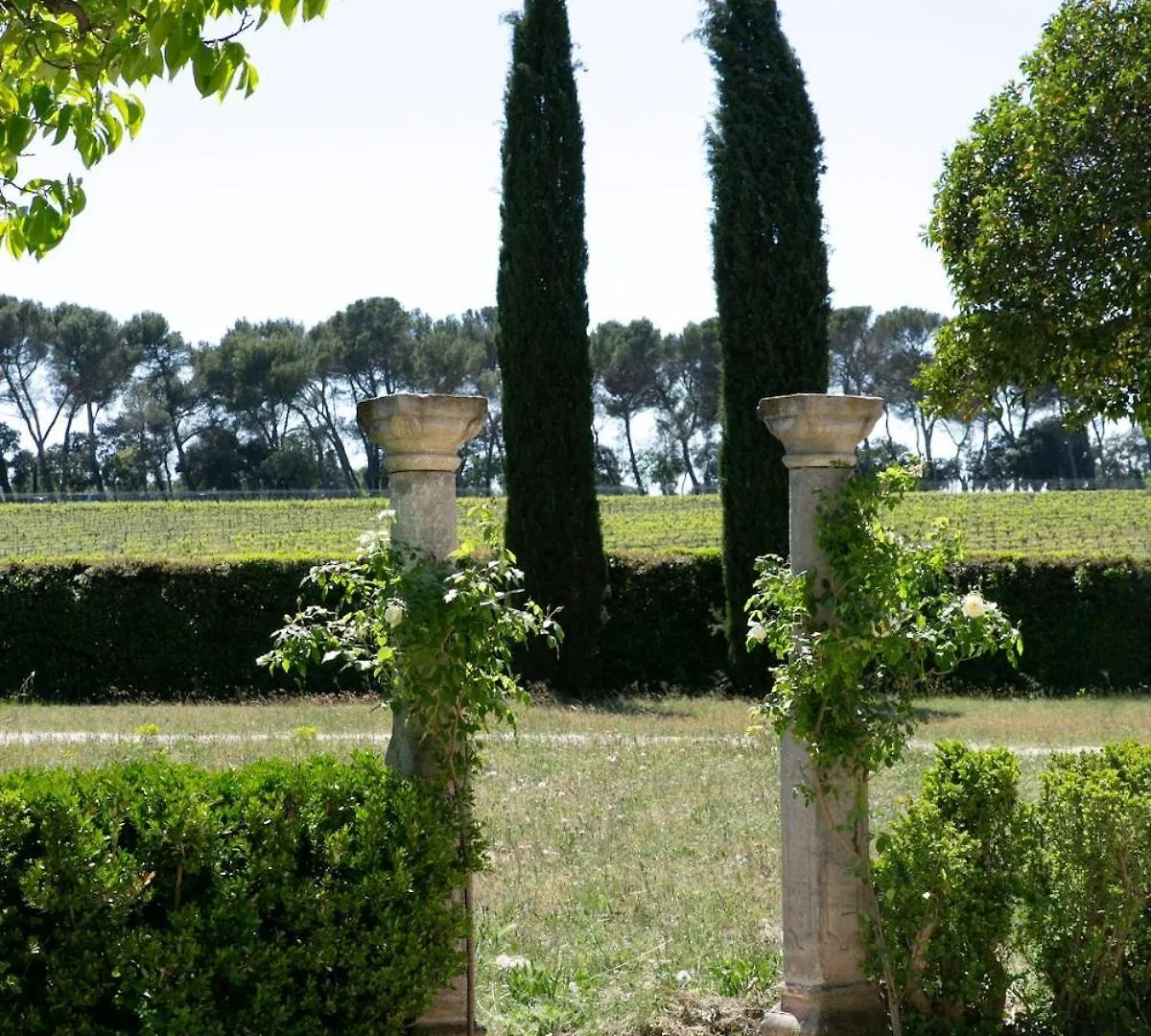 Holiday home Le Mas Provencal D'Aurelie Carpentras