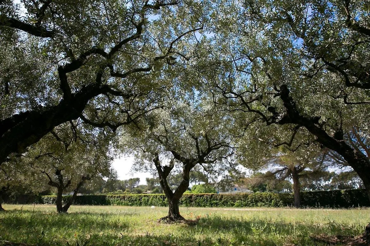 Le Mas Provencal D'Aurelie Carpentras